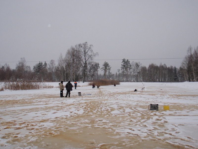 1 218.jpg (2.05 МБ) 2131 просмотр 08.12.2012 г.