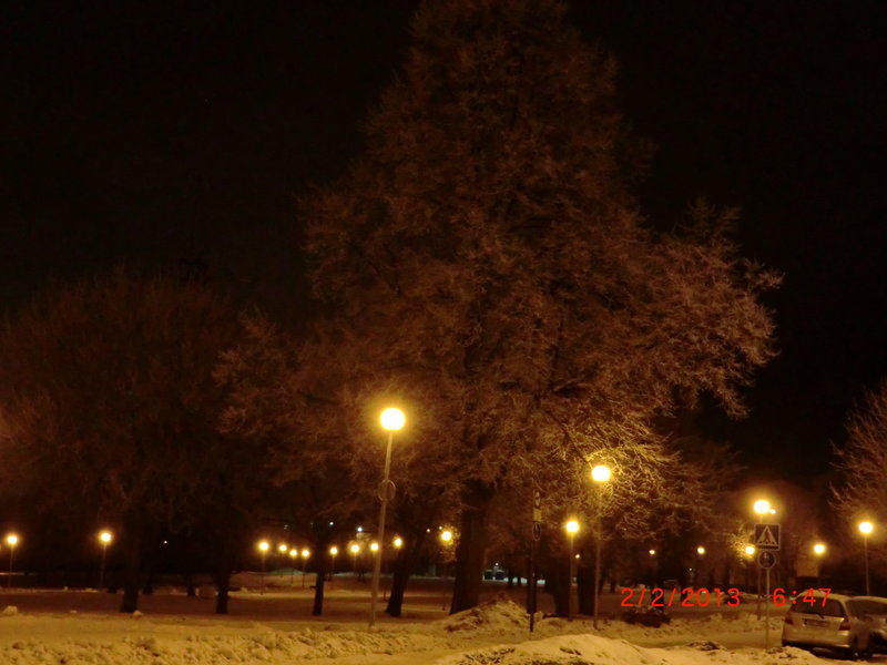 CIMG4849.JPG