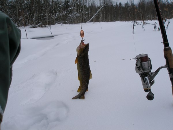 P2140073.JPG4.jpg