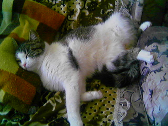 Cam000093.JPG