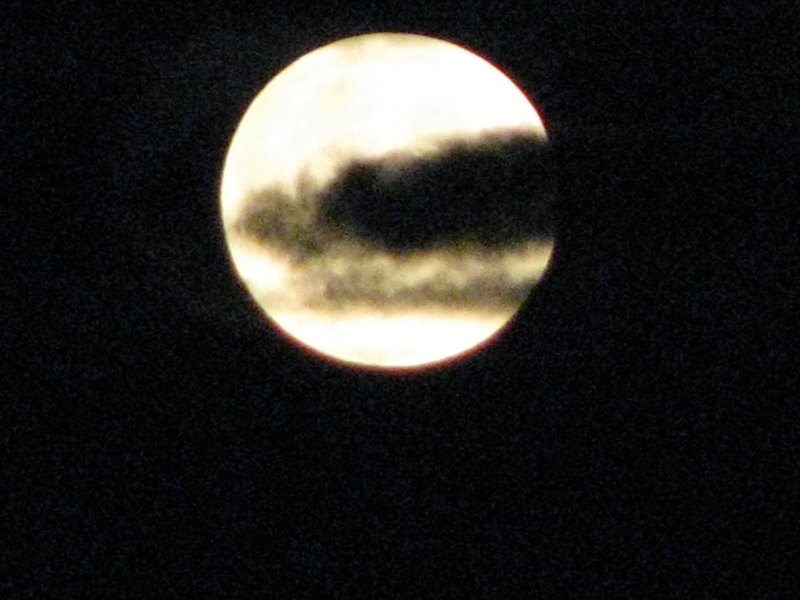 05.08.09 015.jpg