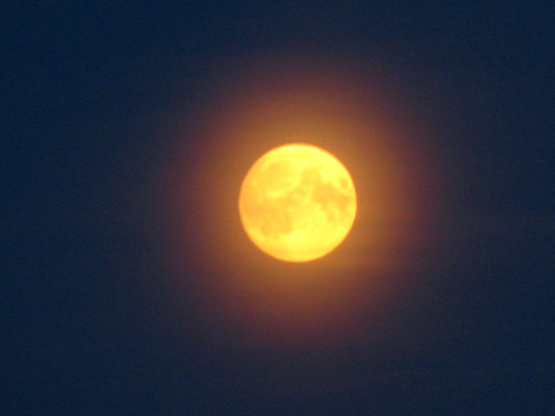 04.08.09 001.jpg