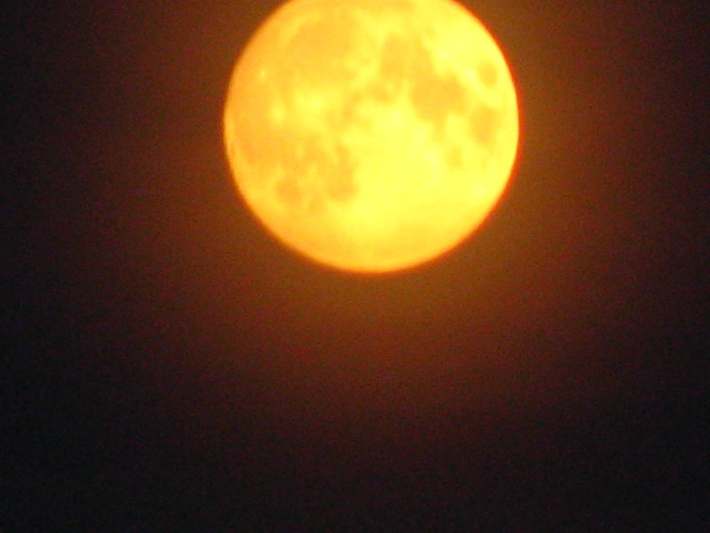 04.08.09 005.jpg