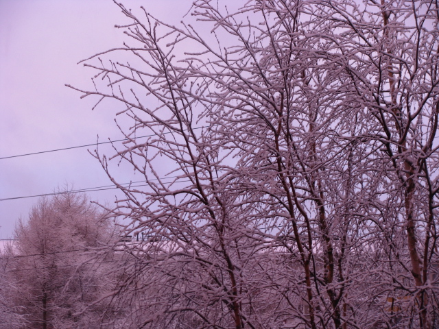 07.04.2013 015.jpg