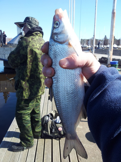 20130421_153705.jpg