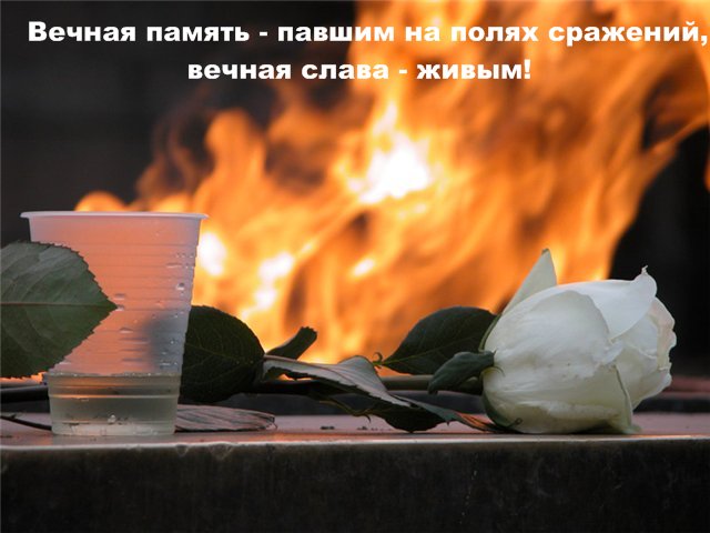 1340348991.jpg