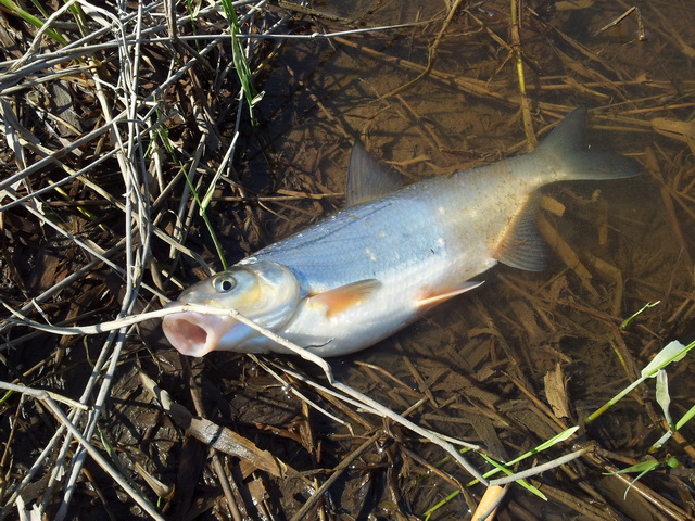 20130508_125511.jpg