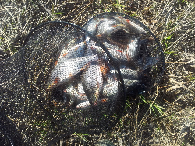 20130508_163337.jpg