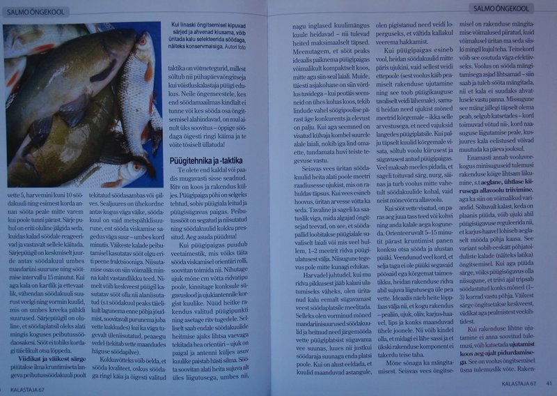 P10161506.jpg