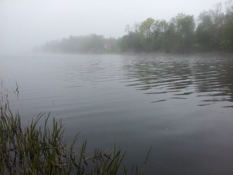 20130518_094501.jpg