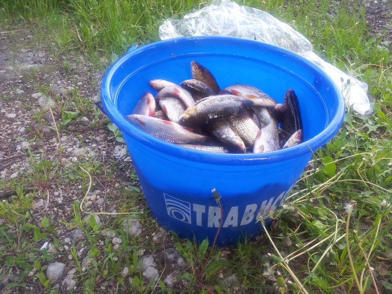 20130601_192606.jpg