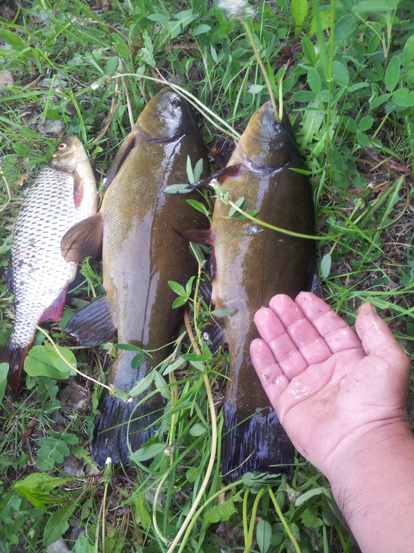 20130601_193024.jpg