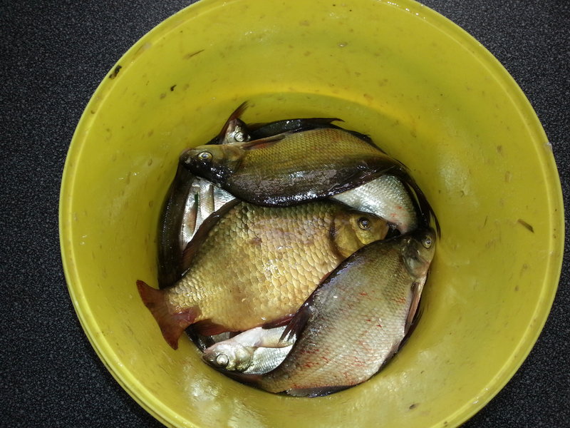 20130601_203158.jpg