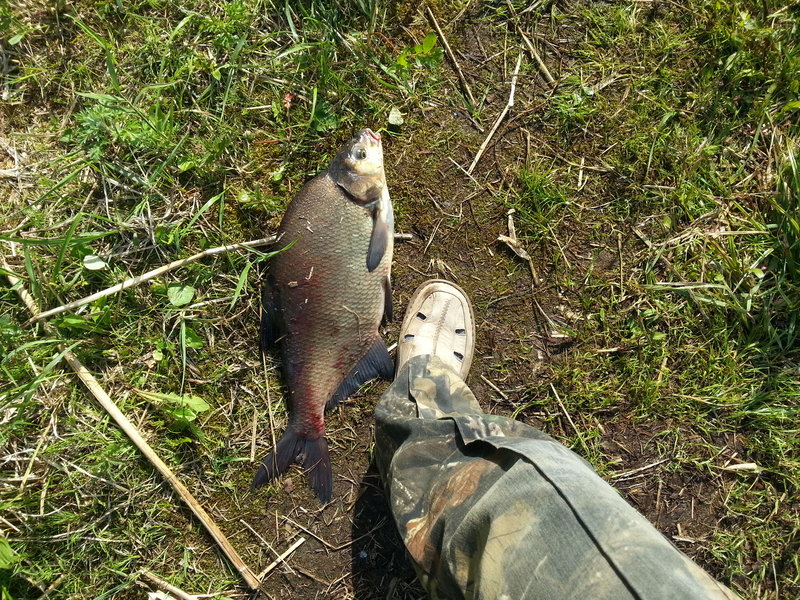 20130602_170957.jpg
