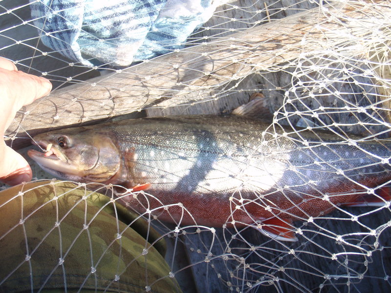 P1056418.JPG