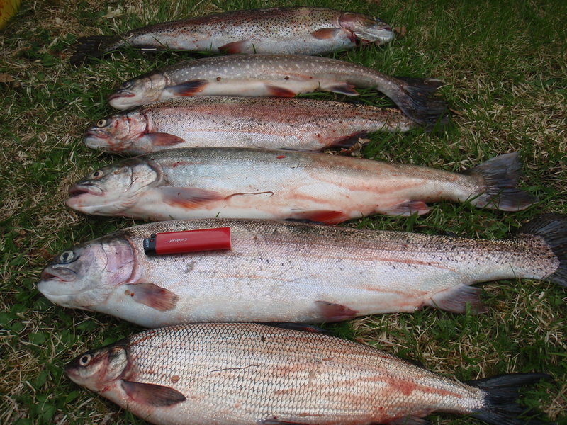 P1026329.JPG