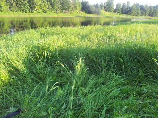 20130607_202630.jpg