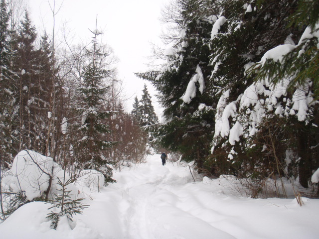 P1050003.JPG