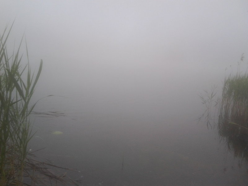 Рано утром