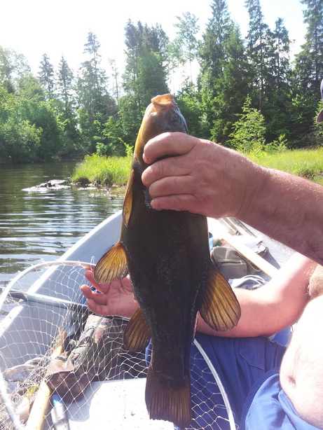 20130615_103721.jpg