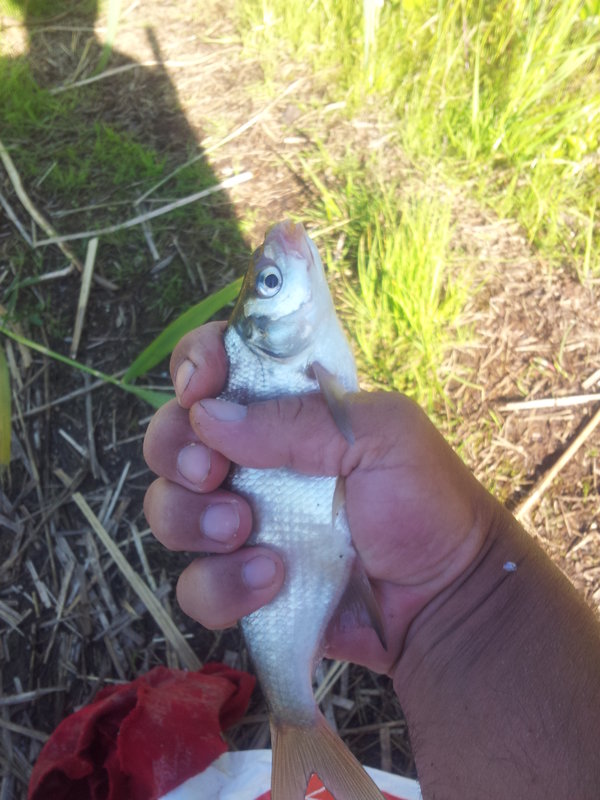 20130619_185616.jpg