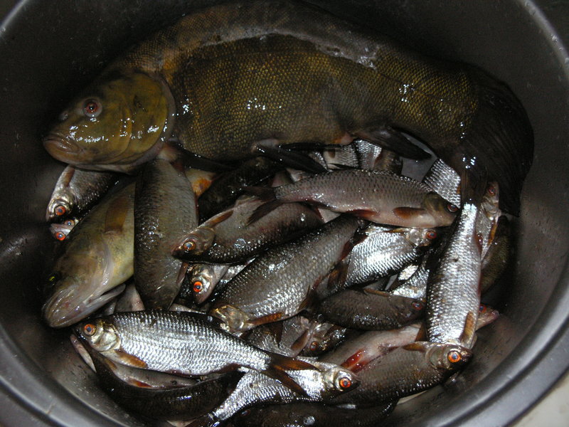 P1010777.JPG