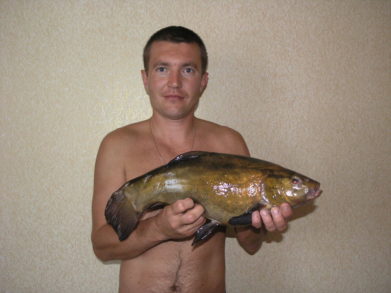 P1010775.JPG