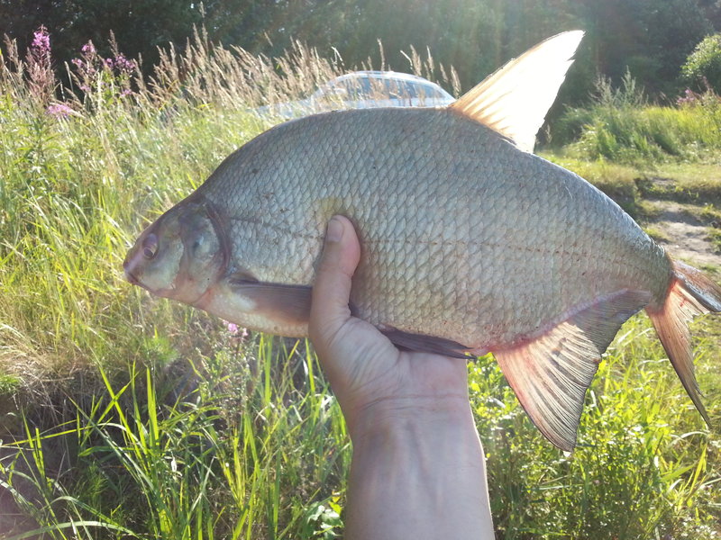 20130728_171442.jpg