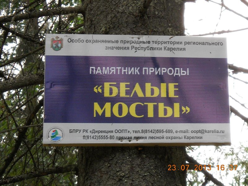 14.JPG