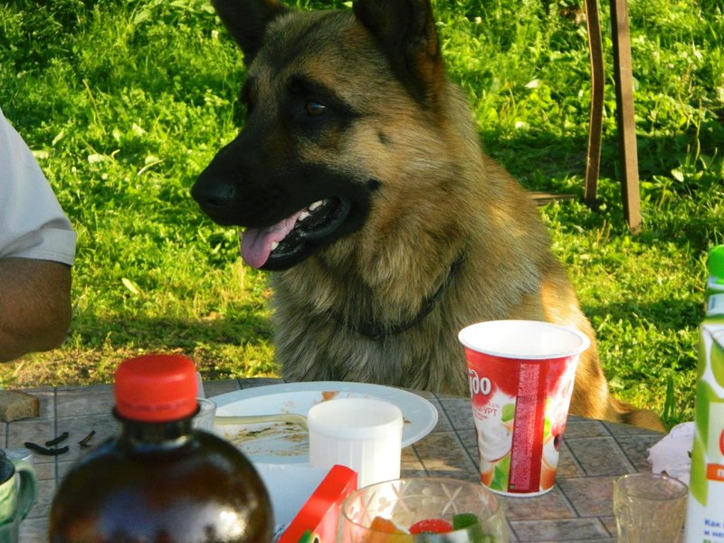 DSCN4287.JPG