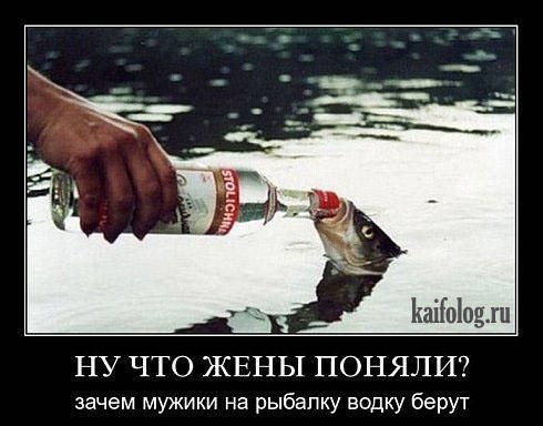 IMG_0996.jpg