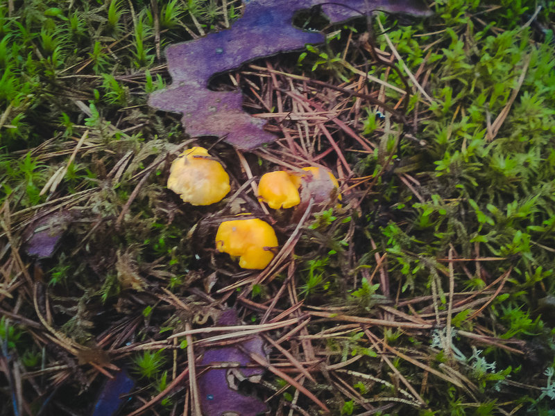 20130817-DSC01172.jpg