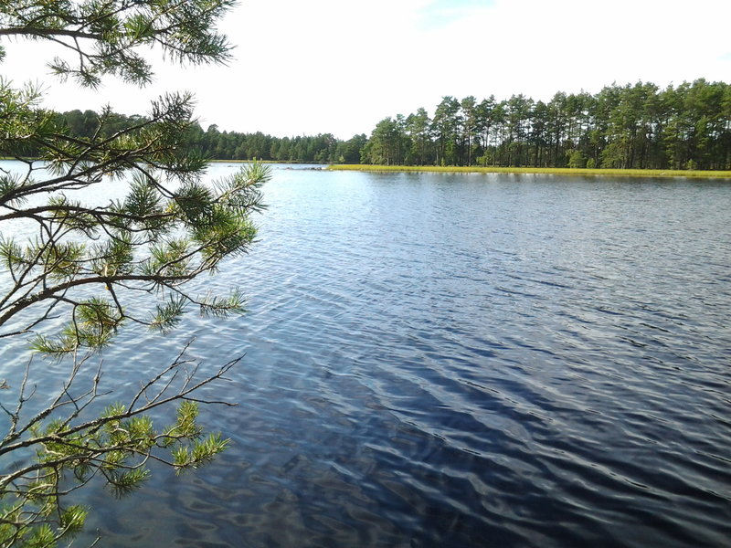 Kivijärv