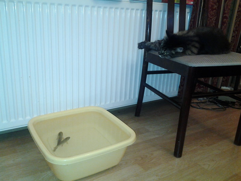 20130820_233454.jpg