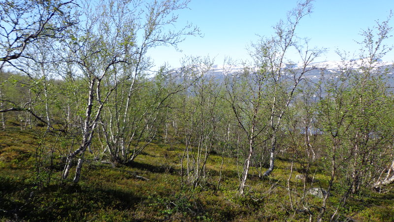 DSC00140.JPG