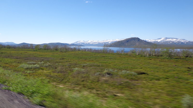 DSC00137.JPG