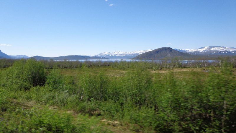 DSC00135.JPG