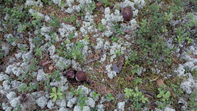 2013-08-23-2253.jpg