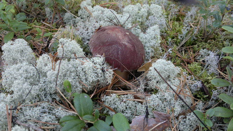 2013-08-23-2254.jpg