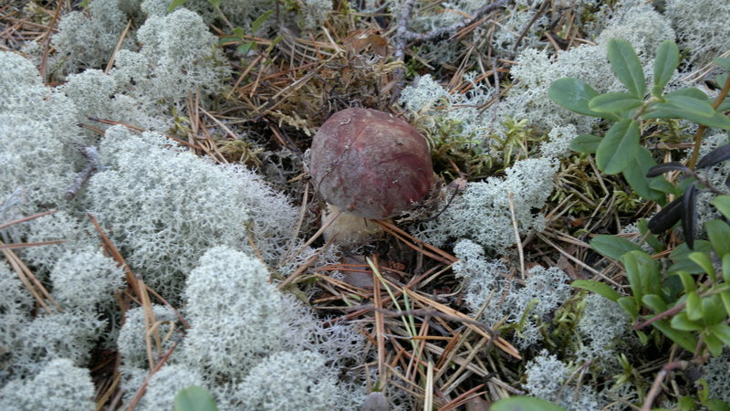 2013-08-23-2256.jpg