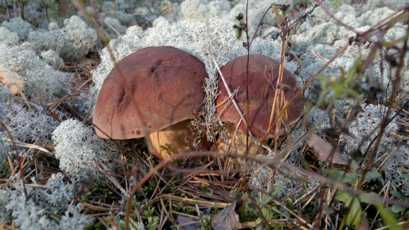 2013-08-23-2257.jpg