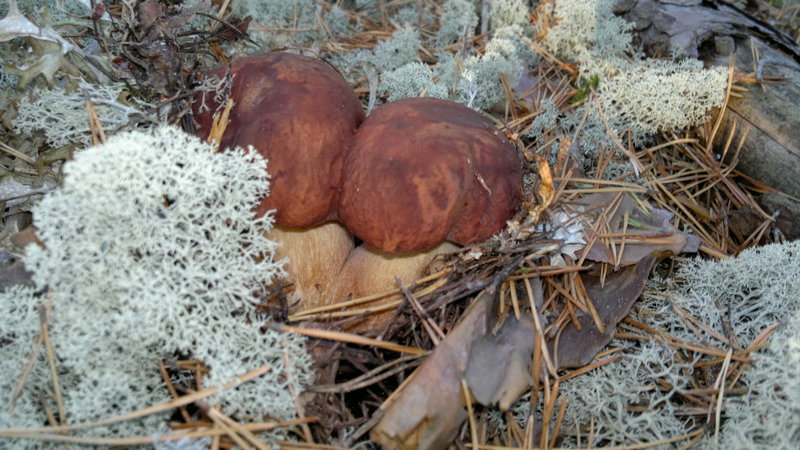 2013-08-23-2260.jpg
