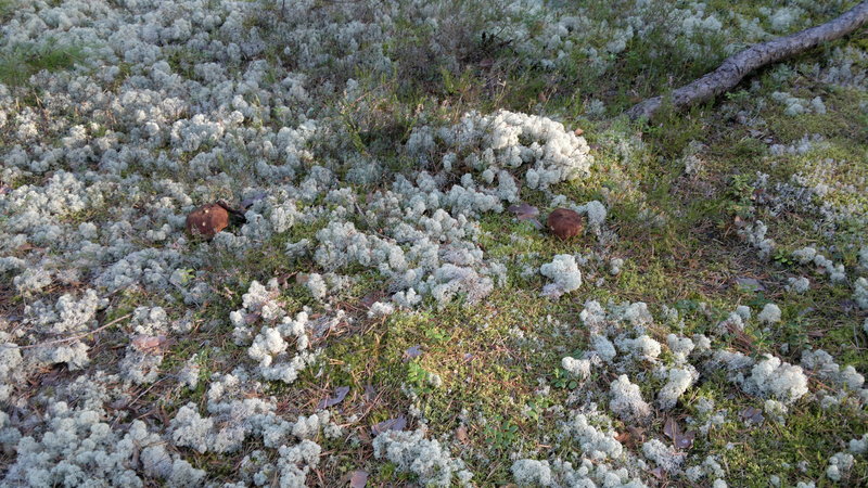 2013-08-23-2261.jpg