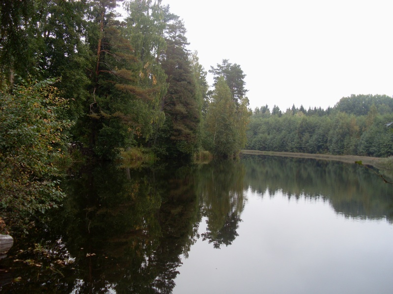 SL380917.JPG