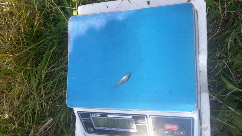 20130915_113021.jpg