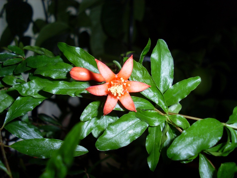 SL380054.JPG
