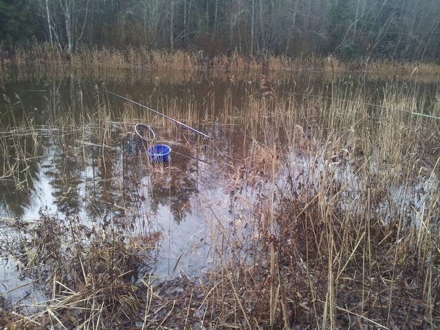 20131109_095112.jpg