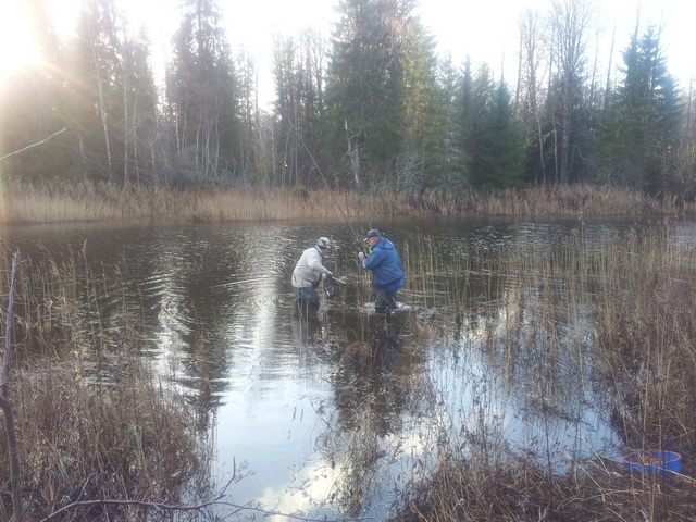 20131116_115337.jpg