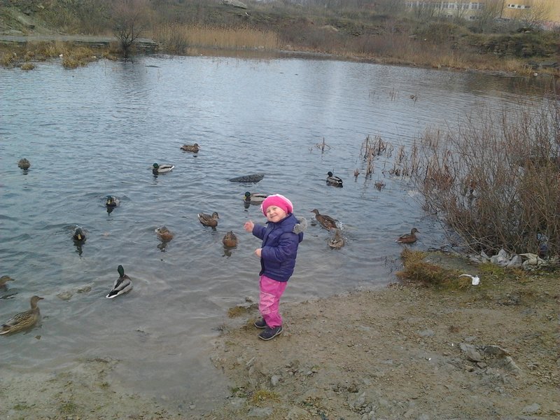 2013-11-22 13.35.42.jpg