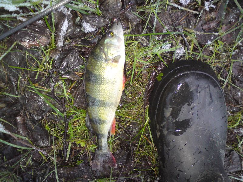 DSC01245.JPG